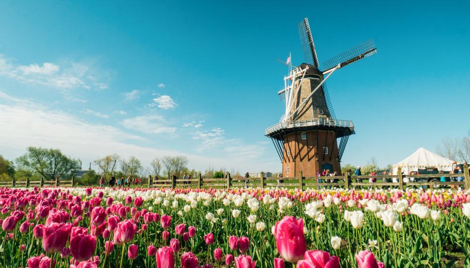 Working on sale windmills holland